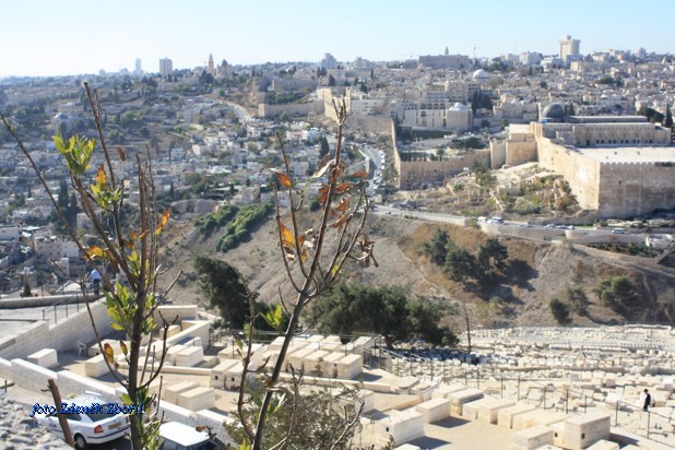 Starý Jeruzalém 2
