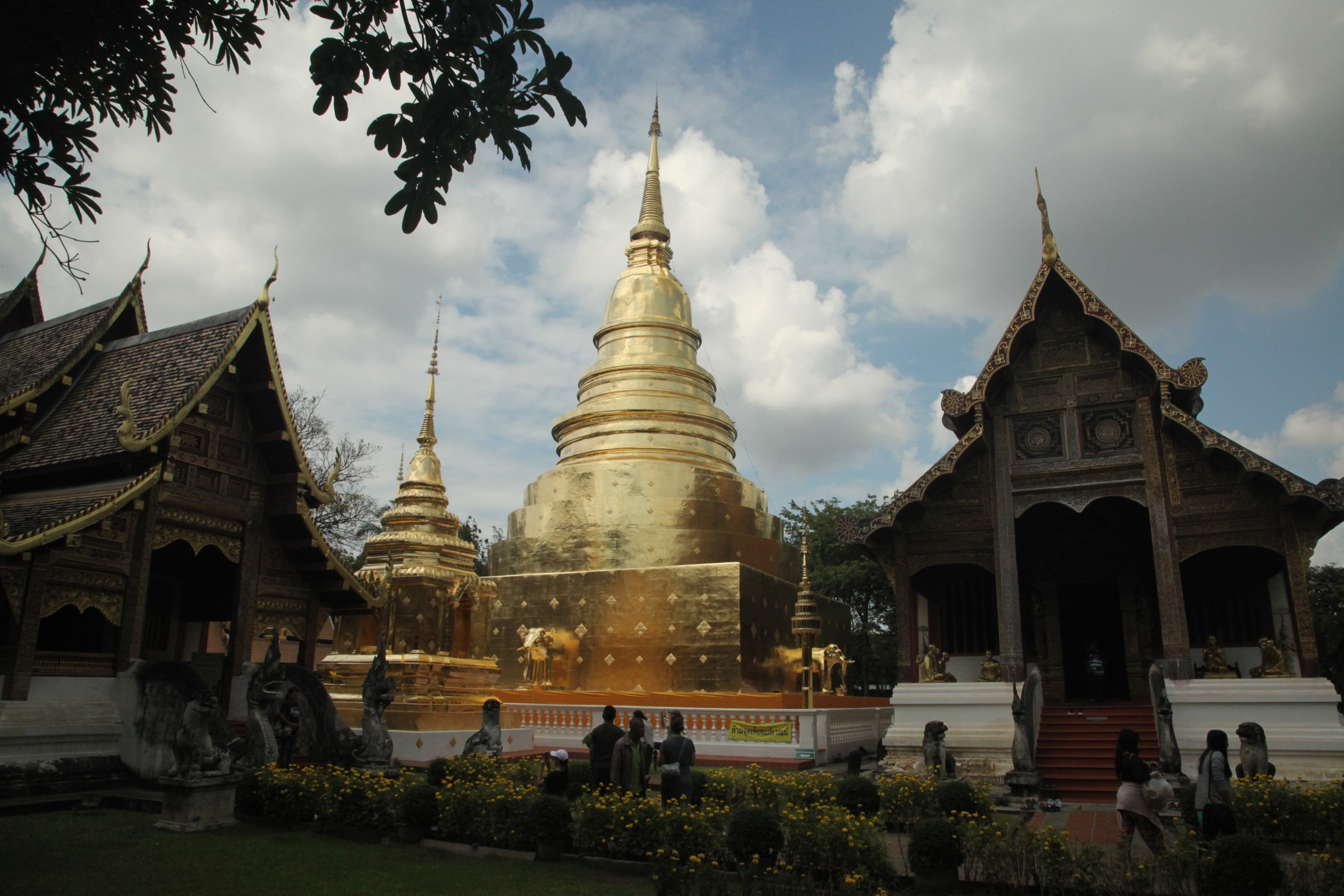 Chiang Mai  Phra Sing