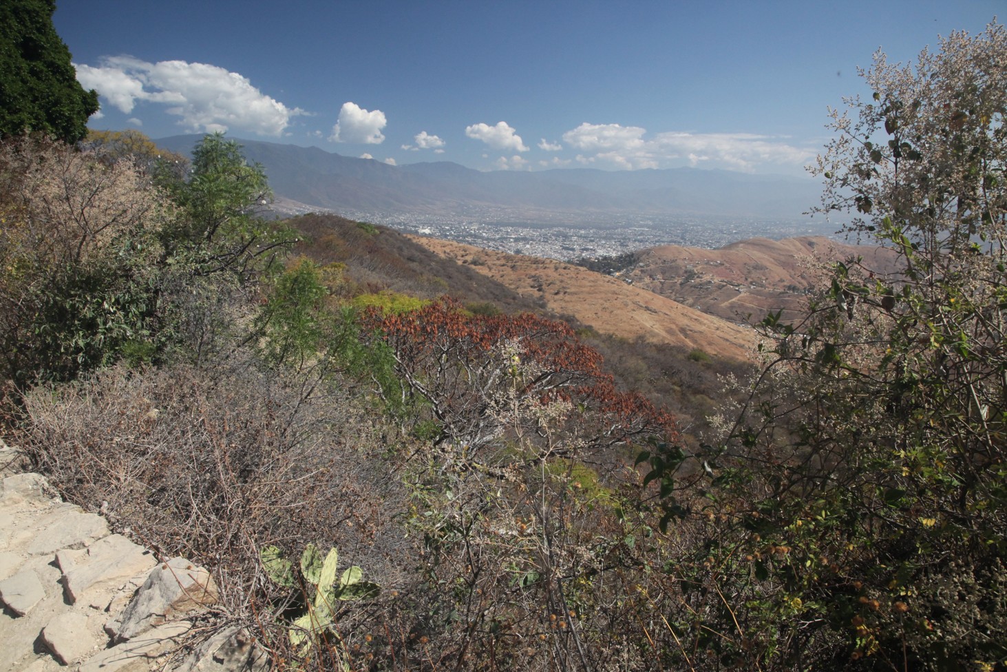 Oaxaca