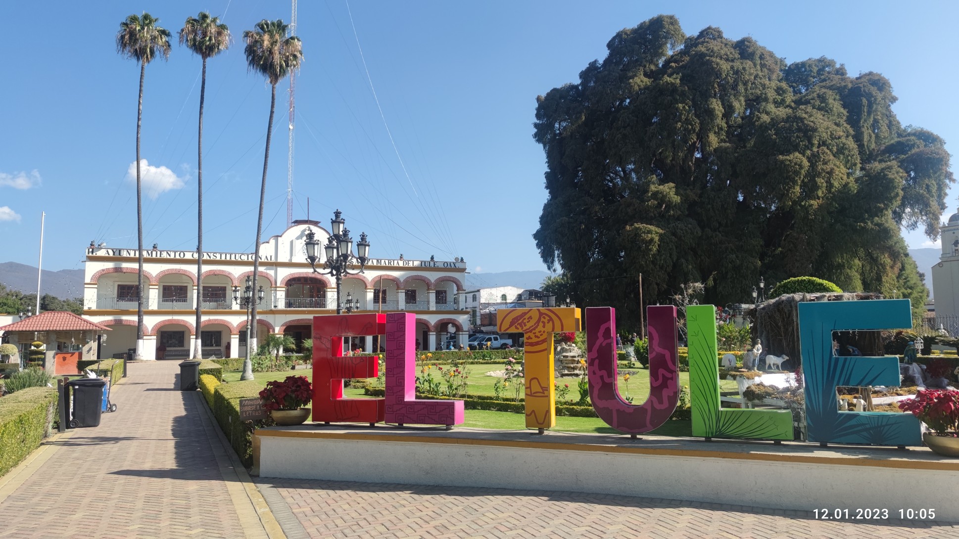 IMG_20230112_100541