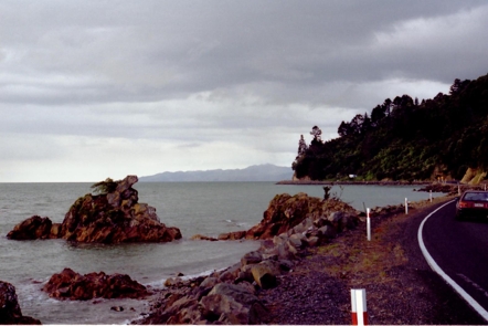 cesta na Coromandel