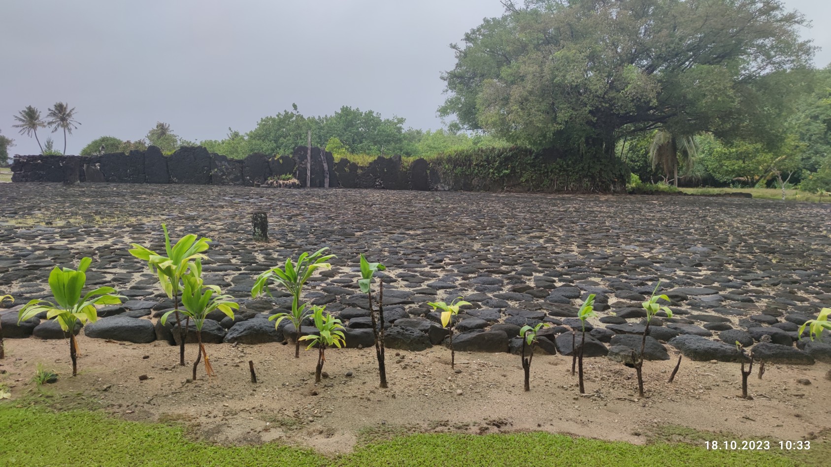 Marae Taputaputaea