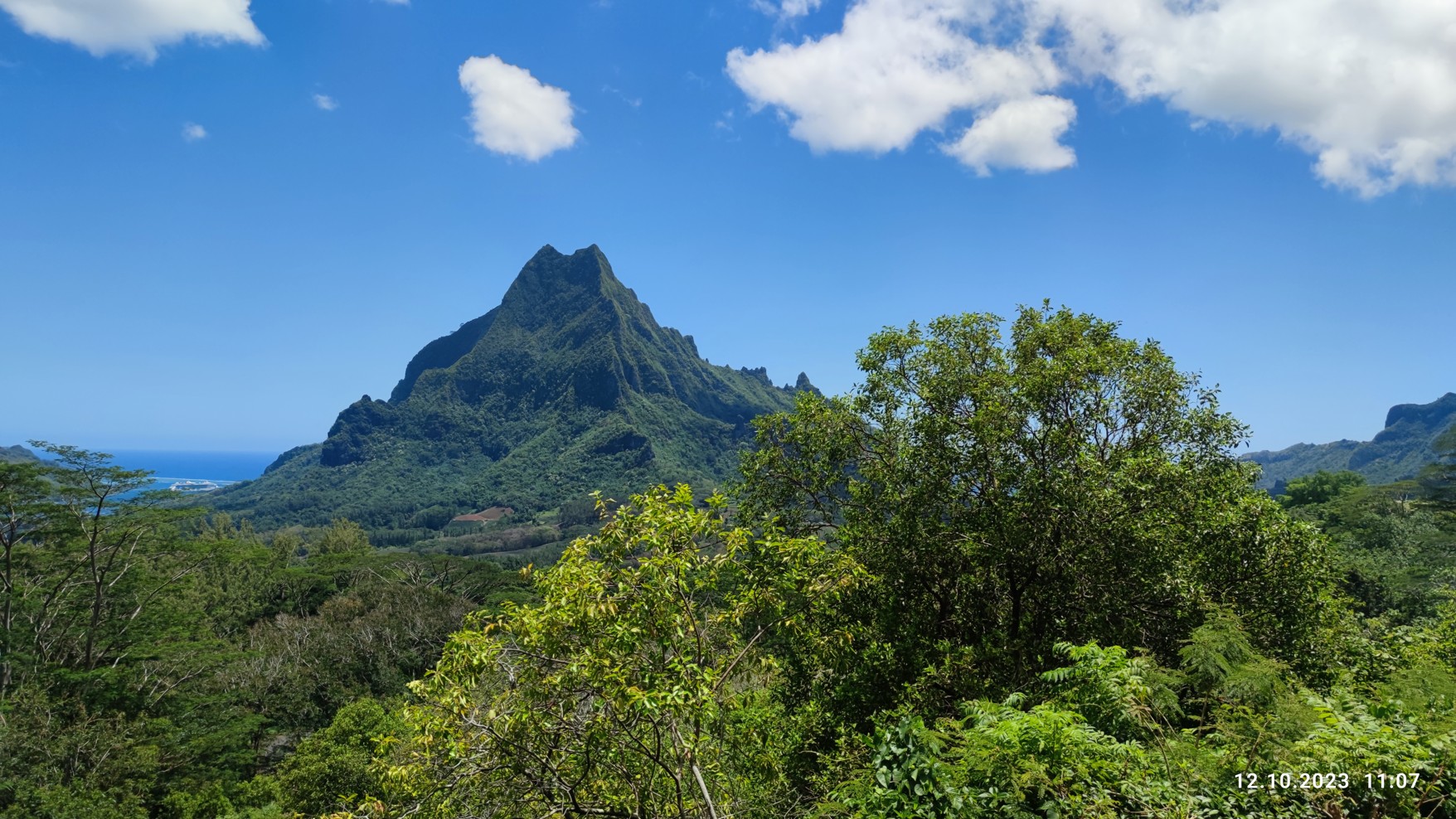 tupauruuru