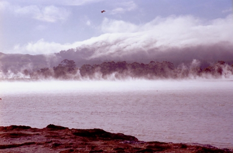 Lake Rotorua 3