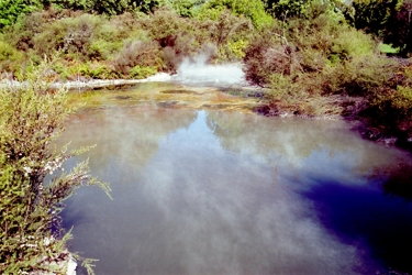 Lake Rotorua 6