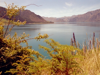 lake Wanaka