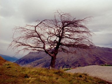 nad Queenstown