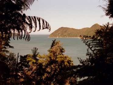 Tasman park 2